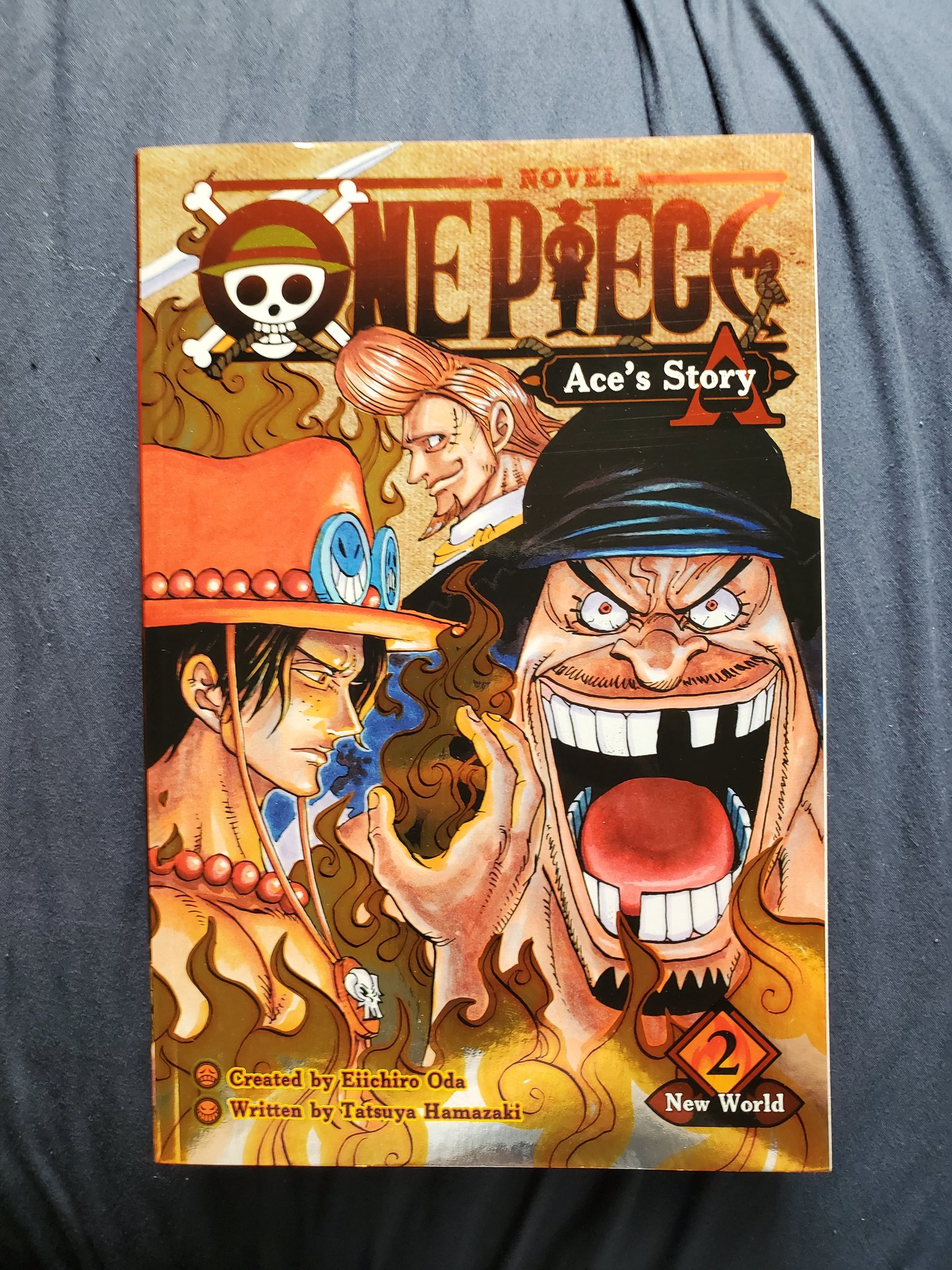 Viz One Piece Ace S Story Vol 2 Is Now Available In Print And Digital Read A Free Preview T Co Ms0kairzkk T Co Ajrcvwaeb3 Twitter