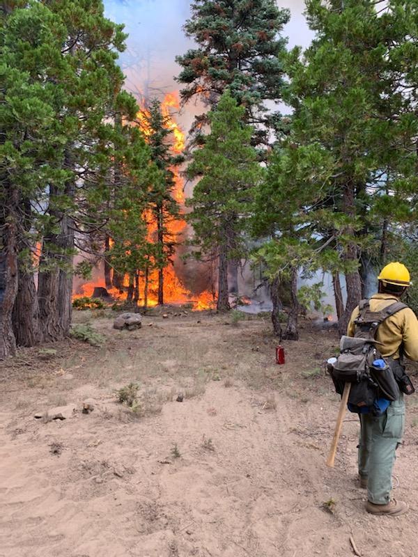 forestservice's tweet image. A USDA Forest Service firefighter monitors the #RedSalmonComplex fire currently burning in the @SixRiversNF, 14 miles northeast of Willow Creek, California. Close to 700 personnel continue working diligently to suppress this fire, now at 42% containment.