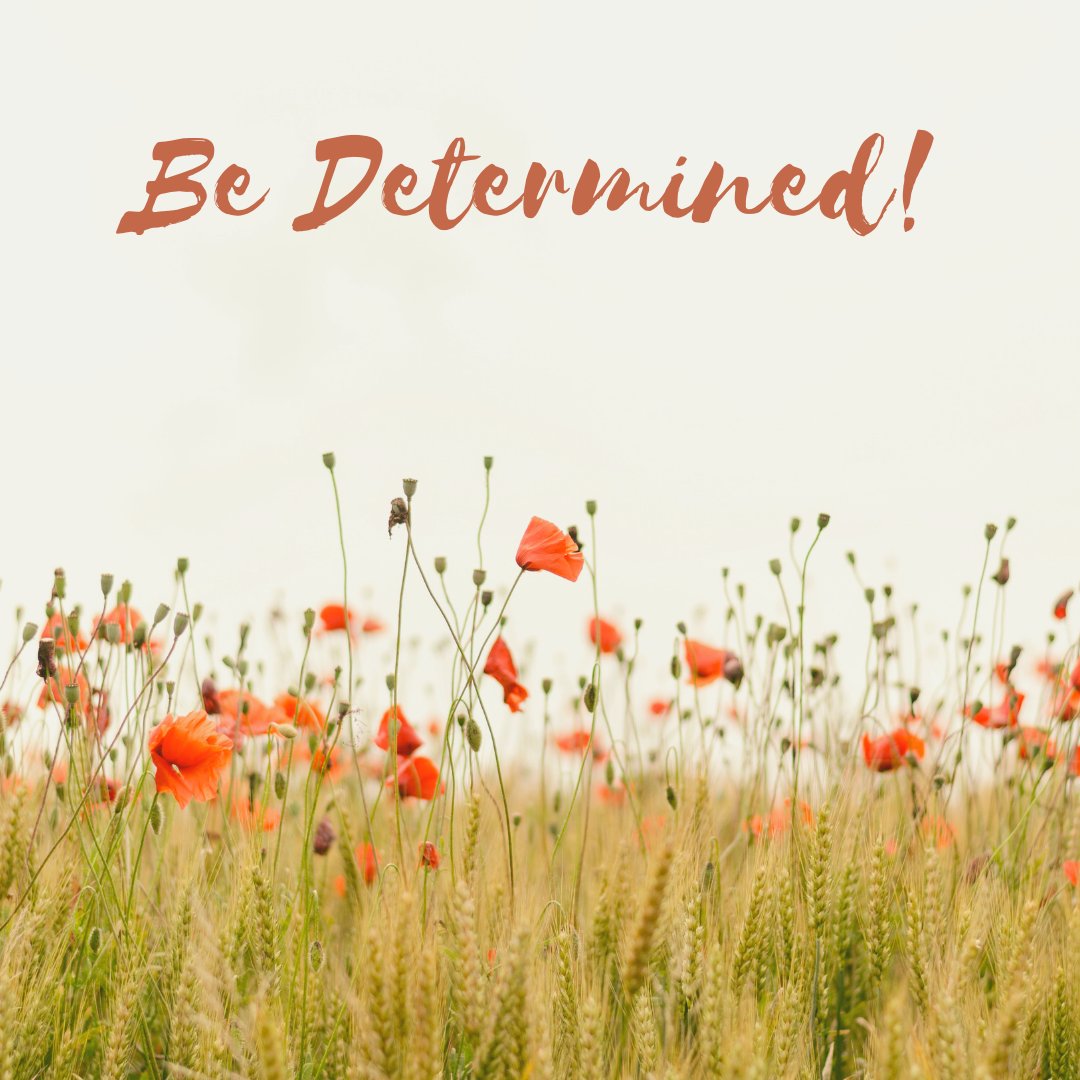 vivianbellcom's tweet image. Be determined to have nothing less than what God has for you.  Go after it!  If God said it, then it's already done!

#BeDetermined #BelieveGod #GodCannotLie #GodIsFaithfulToKeepAllOfHISpromises