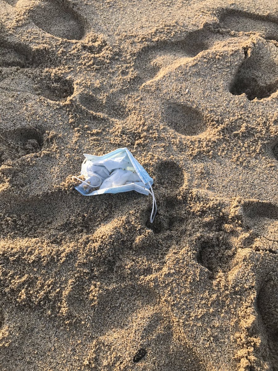 HugoSAS's tweet photo. Single-use plastics are back with a vengeance, PPE pollution is the novel plastic virus 🦠 infecting our beaches, ocean &amp; environment. https://t.co/cegrKjBfon