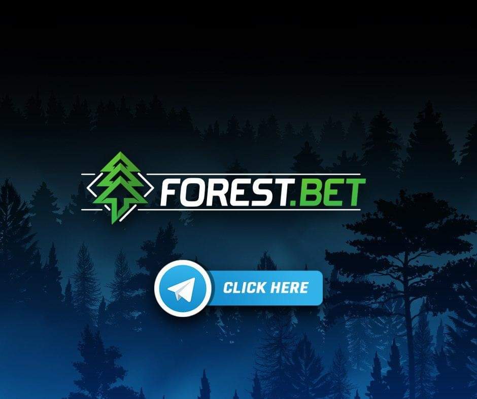 FOREST.BET tweet media