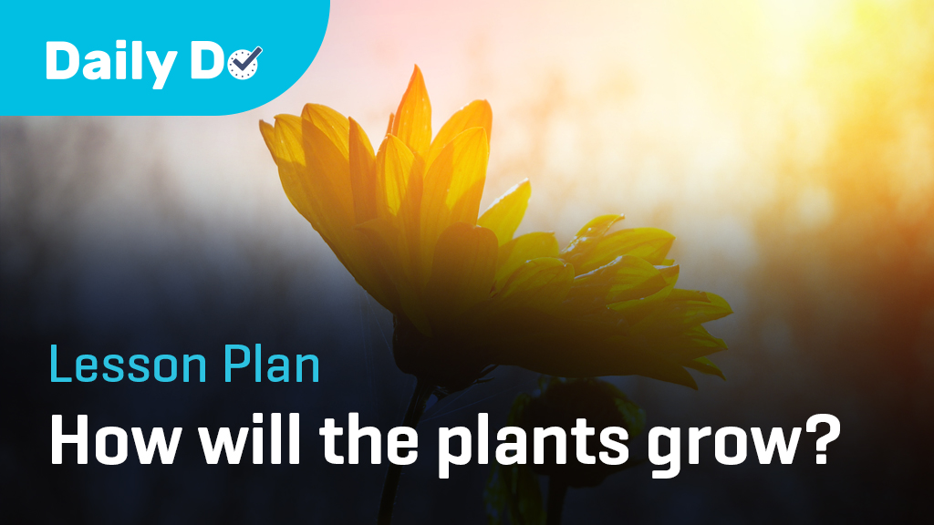 In today's #NSTA #DailyDo, How will the plants grow?, students &amp; their families engage in science and engineering practices and use the thinking tools of patterns and cause and effect to make sense of the science idea plants need sunlight to grow. nsta.org/lesson-plan/ho…