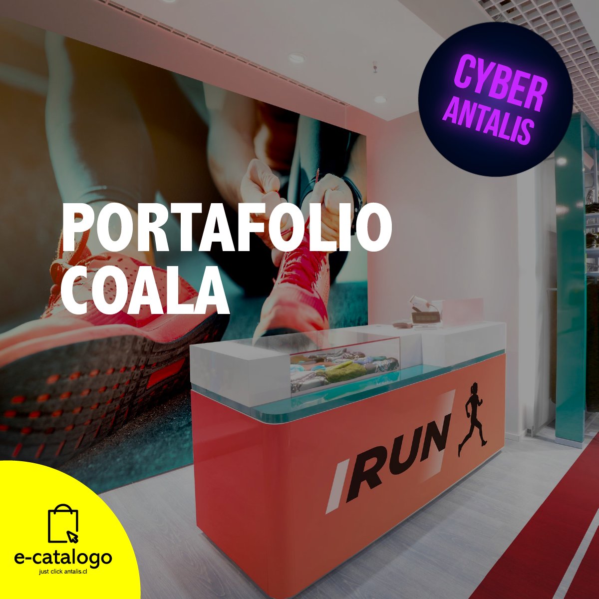 Antalis Chile tweet media