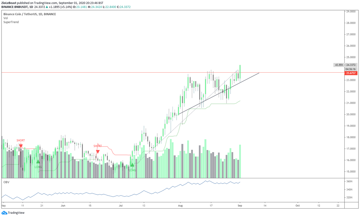 theziowolf's tweet photo. $BNB 💯

Finally https://t.co/pUkwIxyB94