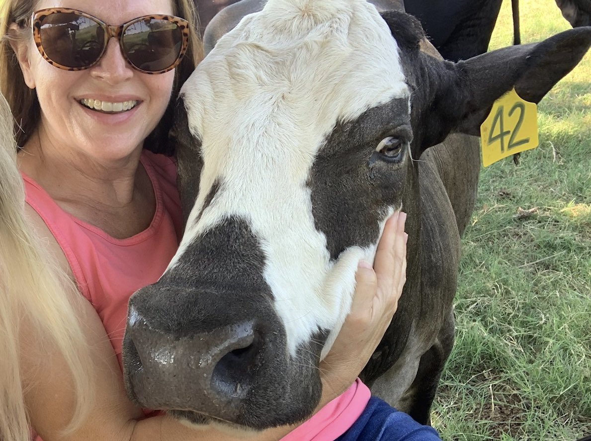 Self- care selfie:Cow therapy is the best self care for me. #kindness #hayeshawks #purposefullpursuits