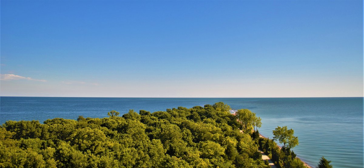 DaveJewellOHL's tweet photo. A few hours at @PointPeleeNP on Monday eve. #pointpelee #tiptower #nationalparks #canada #nature #summer https://t.co/ftK06aOeW8