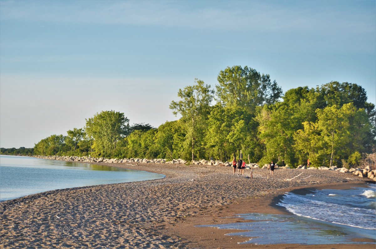 DaveJewellOHL's tweet photo. A few hours at @PointPeleeNP on Monday eve. #pointpelee #tiptower #nationalparks #canada #nature #summer https://t.co/ftK06aOeW8
