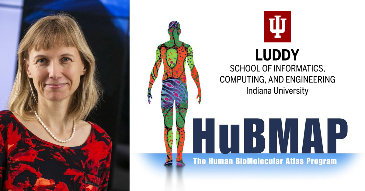 IULuddy's tweet photo. The Luddy School is part of the #HuBMAP consortium of 18 diverse collaborative research teams across the US and Europe that has just released detailed anatomical data about seven human organs. Read more: https://t.co/OWMSDdmzJb #HuBMAPData https://t.co/WyETskH8y8