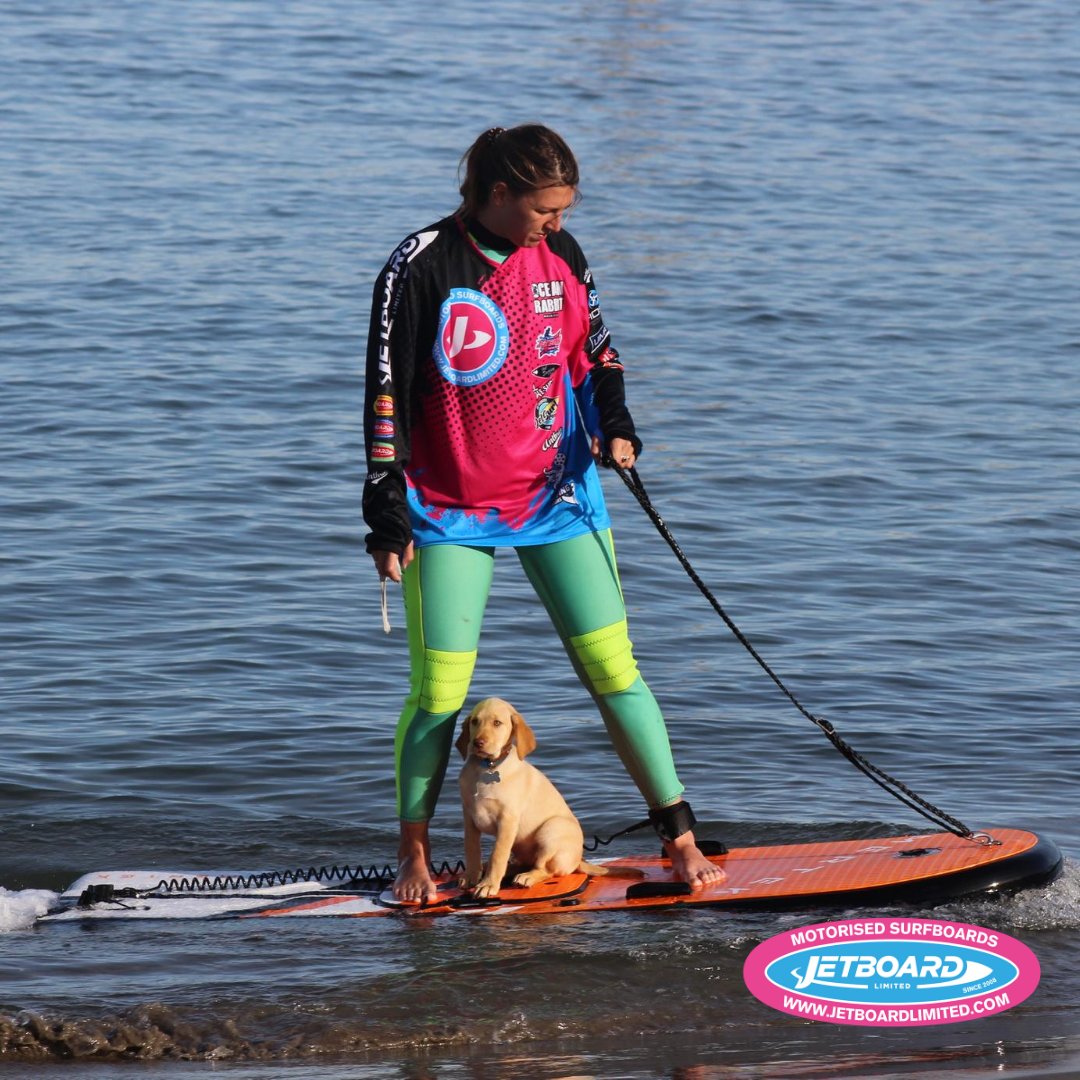 What is the dog thinking?😂