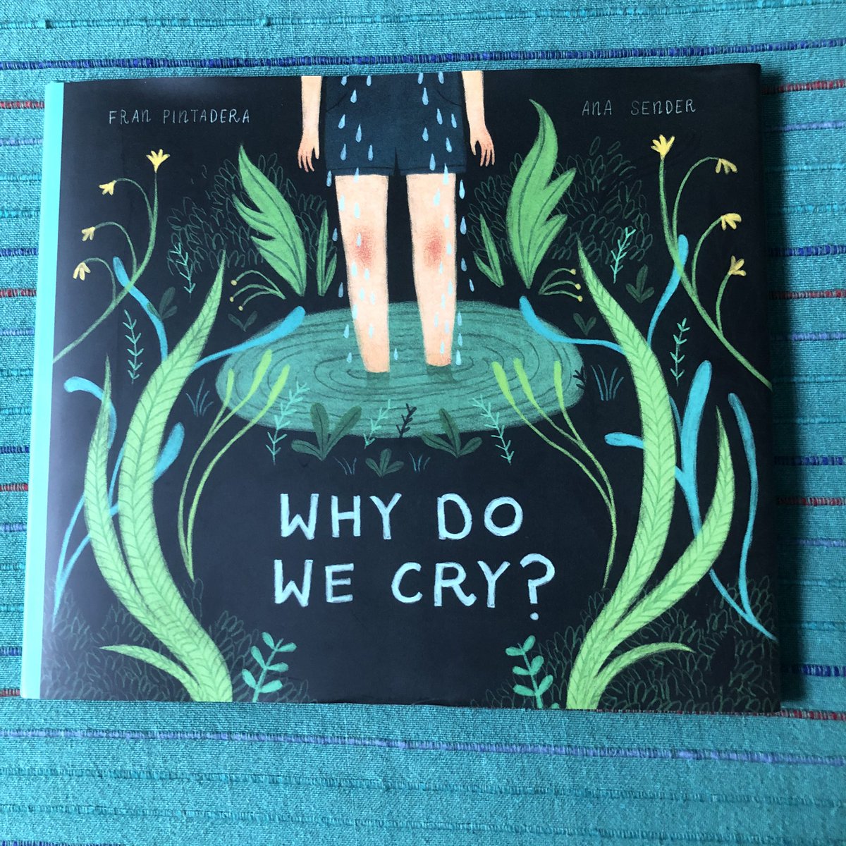 Jen Kraar tweet media