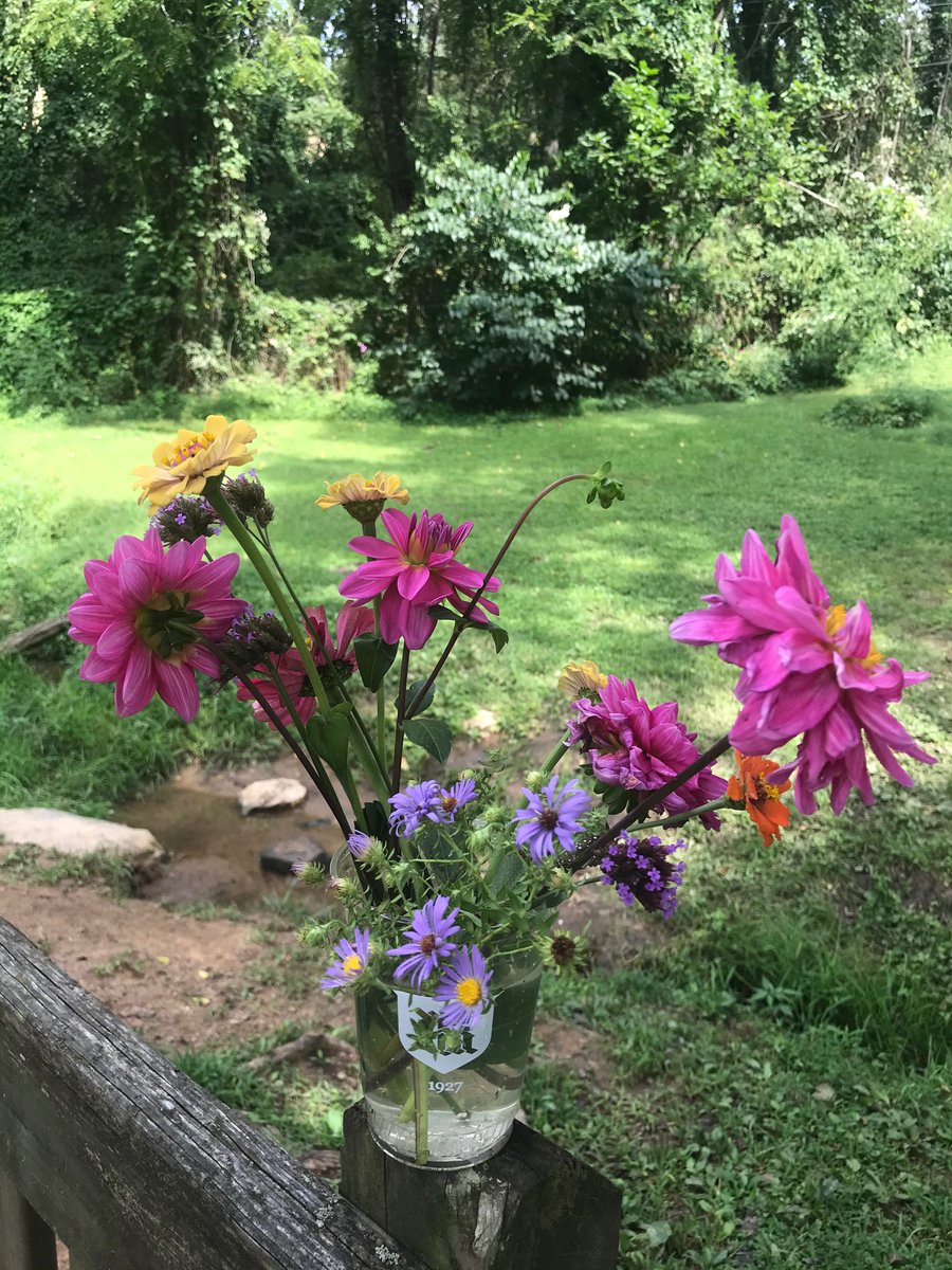 My neighborhood is THE BEST. 
💐 🌸 🌺  #WestAsheville