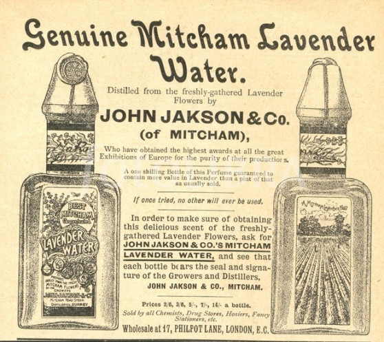 The estate was built on the last of the famour Mitcham Lavender fields and is named after Mary Jeune (Baroness St Helier) an LCC alderman. https://summerstown182.wordpress.com/2015/09/18/lavender-and-gunpowder/ https://en.wikipedia.org/wiki/Mary_Jeune,_Baroness_St_Helier