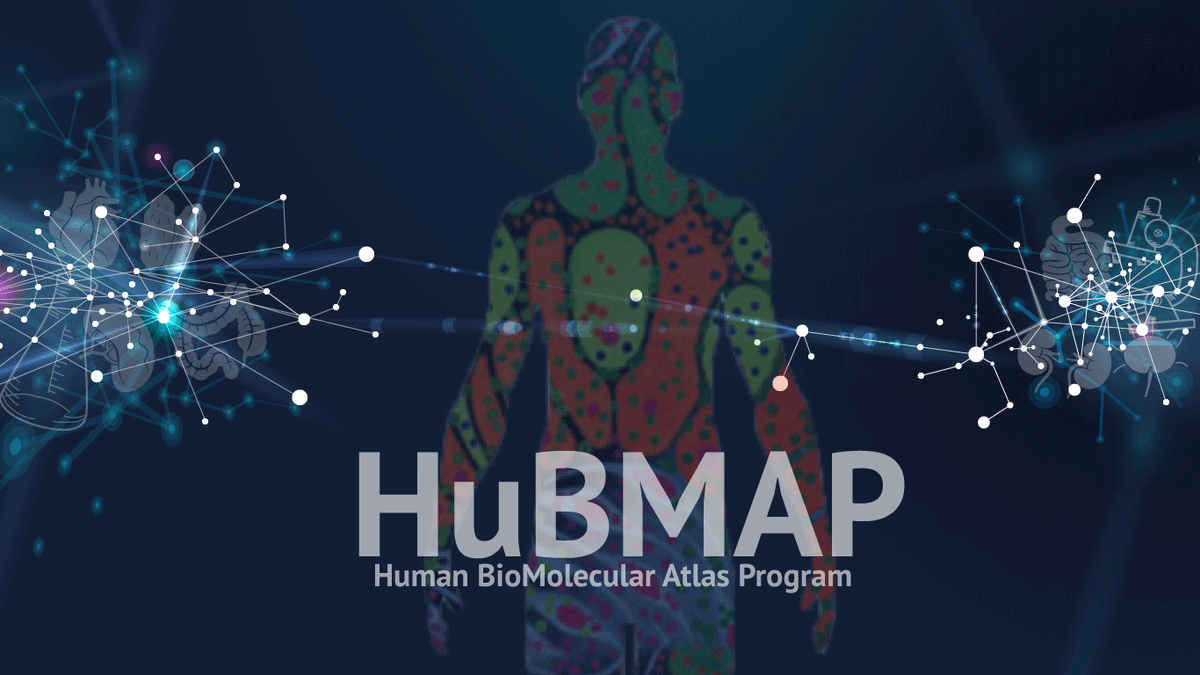 psc_live's tweet photo. Exciting news: @_hubmap has released its inaugural data that includes over 300 data datasets for use by the scientific community and the general public! #HuBMAP #HuBMAPData Learn more --> https://t.co/4fLdLujw9g https://t.co/ffOBJ4QJZk