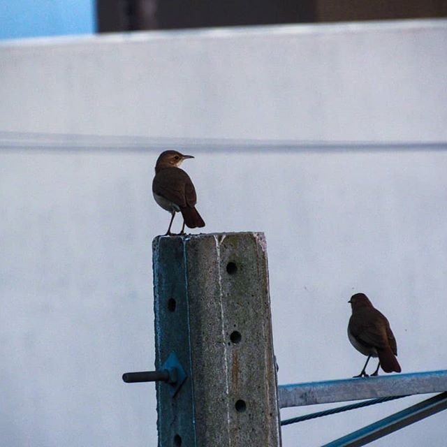 BebothPhotos's tweet photo. https://t.co/aARDeUXPEE