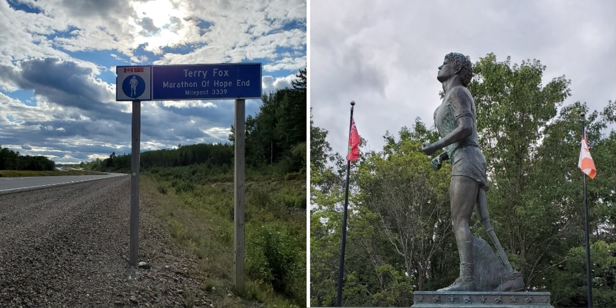 T O R O N T O 🍁 tweet media