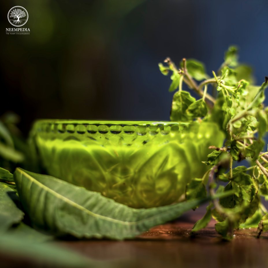 Neempedia's tweet photo. The neem tree offers a variety of solutions in ayurvedic medicine, consult with an expert in order to reap its full power and learn more about neem and it’s healing properties at https://t.co/elwzRqqtmc! https://t.co/gJkUhbM7AX