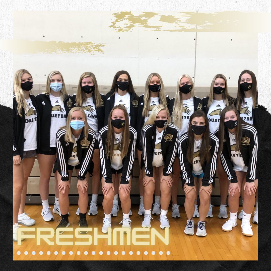 Nebraska Wesleyan Volleyball tweet media