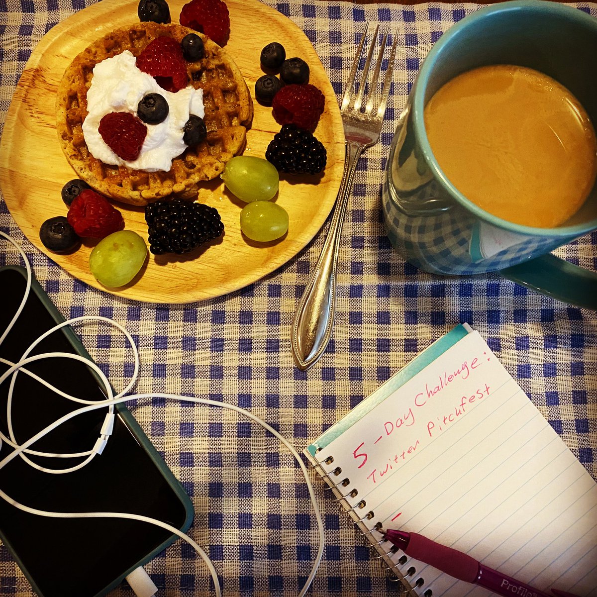 AmeliaMA83's tweet image. Am I the only one who gets nauseous when they submit their work? 
Still prepping for Pitch Madness and my stomach turns every time I think of posting.
This workshop is really good though. It’s giving insight as to what grabs agents’ attention. 
#pitchmadness #editing