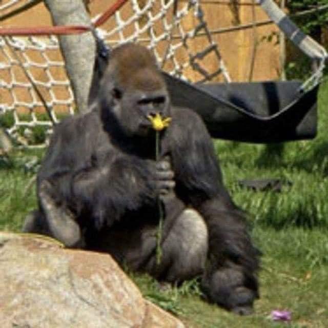 Eg2xL3LXcAsI5f9?format=jpg&name=small