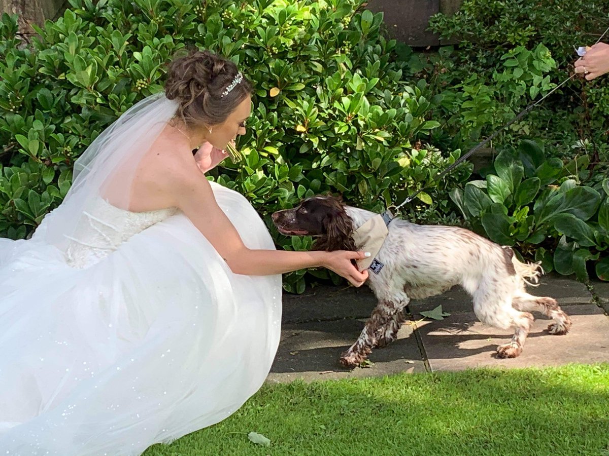 MarcusButlerFan's tweet image. I’ve so happy, I’m finally a Mrs 👰🏼💙