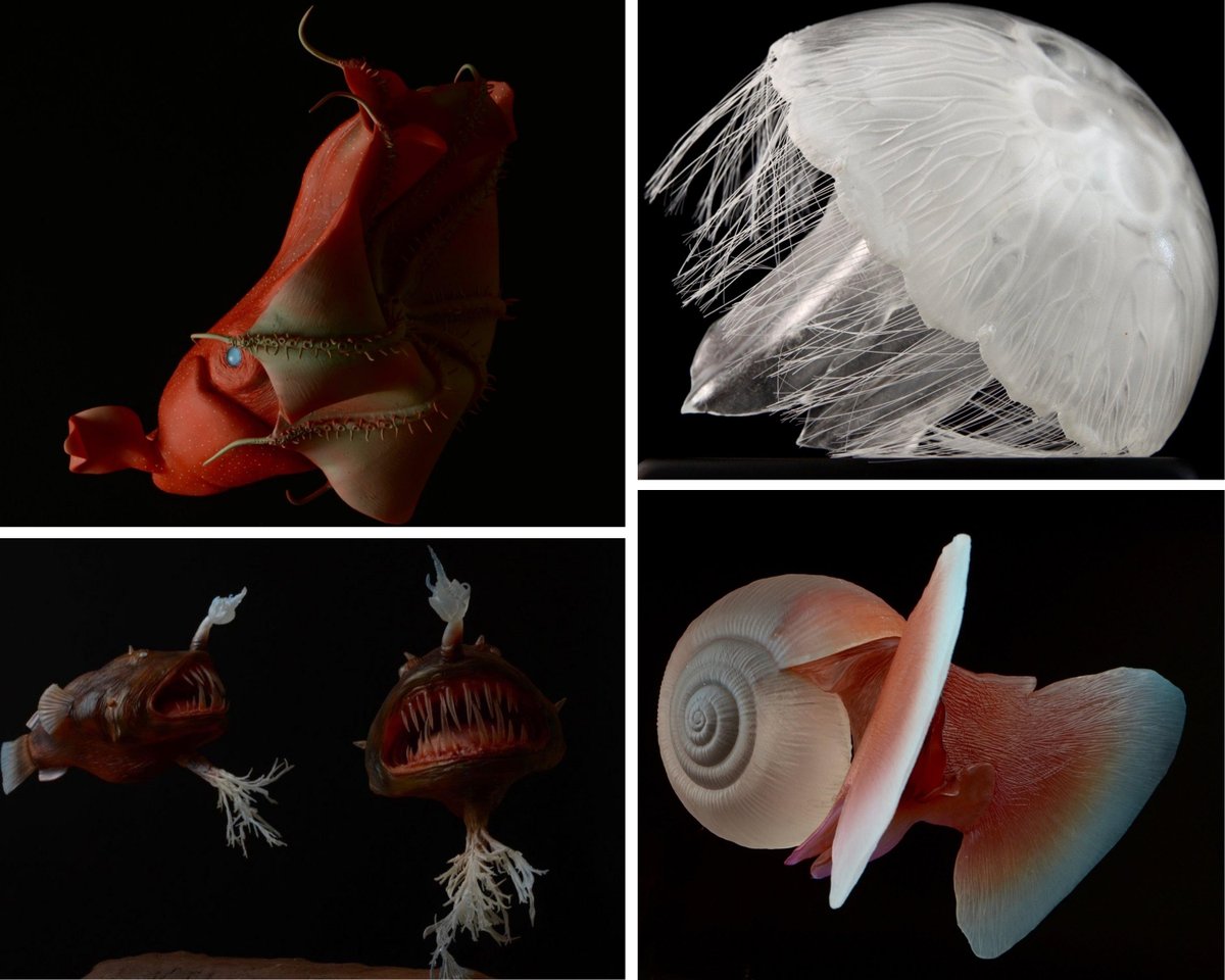 SmoothOn's tweet photo. Beautiful museum quality deep sea creatures from fabricator @kamyk.pl using Crystal Clear™ and Smooth-Cast™ 321 urethane resins! #smoothon #deepseacreatures #anglerfish #kamykpl #biologicalmodels #deepsea #ostracod https://t.co/YqHDoMZZRw