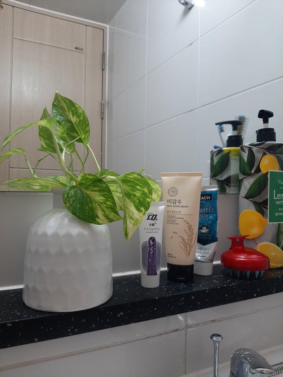 Love  &amp; Plant