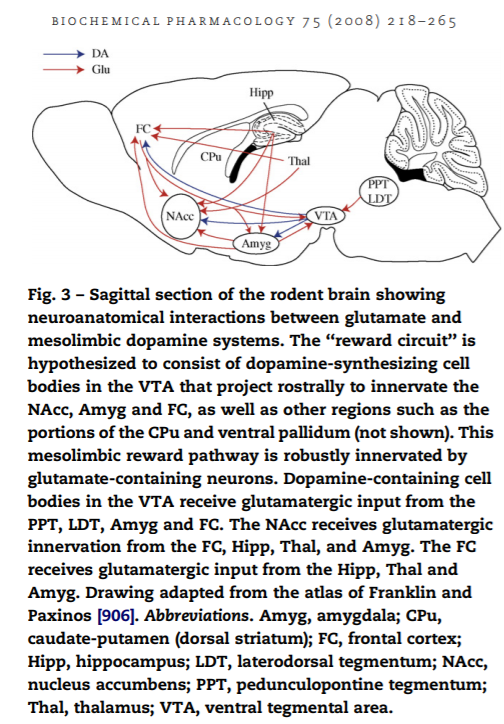 9/It turns out that the neurocognitive effects of alcohol may be largely mediated by glutamate signaling Glutamate also has a huge role in reward pathway signalsWhat medication reduces glutamate signaling? You guessed it...