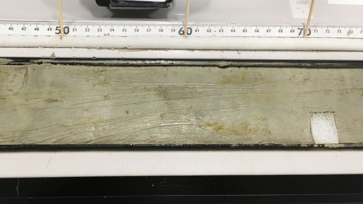 IodpKcc's tweet photo. Another ooze core from #IODP #EXP361 at U1479, for just a few additional samples requested by MARUM. https://t.co/lKNxRVgChx