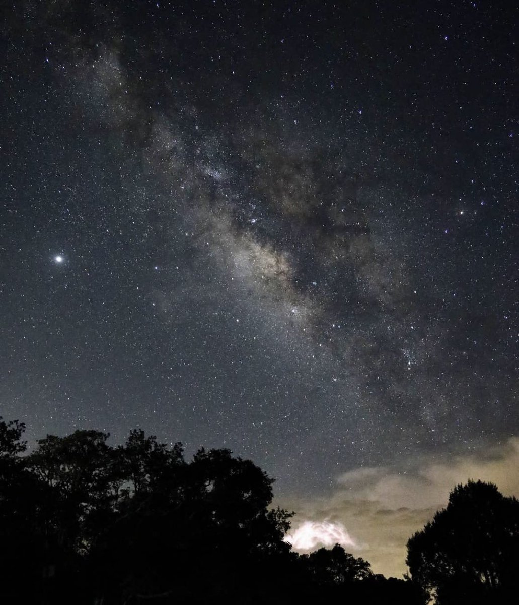 Necesité 25 cámaras y 83 días para obtener esta foto. 
Denme RT aunque sea 😭