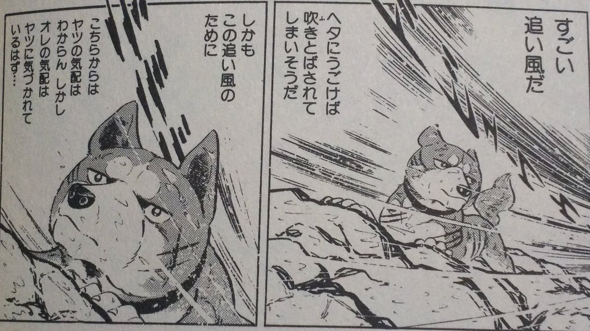 Twitter पर 中原伸明 銀牙流れ星銀 銀牙 二子峠の裏側から 攻め混むリキ ついに赤カブトと遭遇してしまいます ついに長年の宿命の対決が 始まろうとしていました 一匹だけで 勝てるのか リキ 銀たち 早く来てくれ