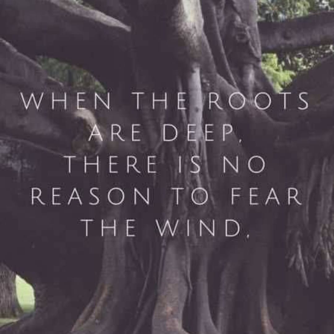 JDderks's tweet image. 