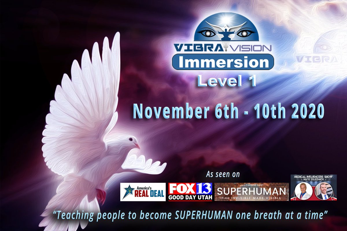vibravision vibravision