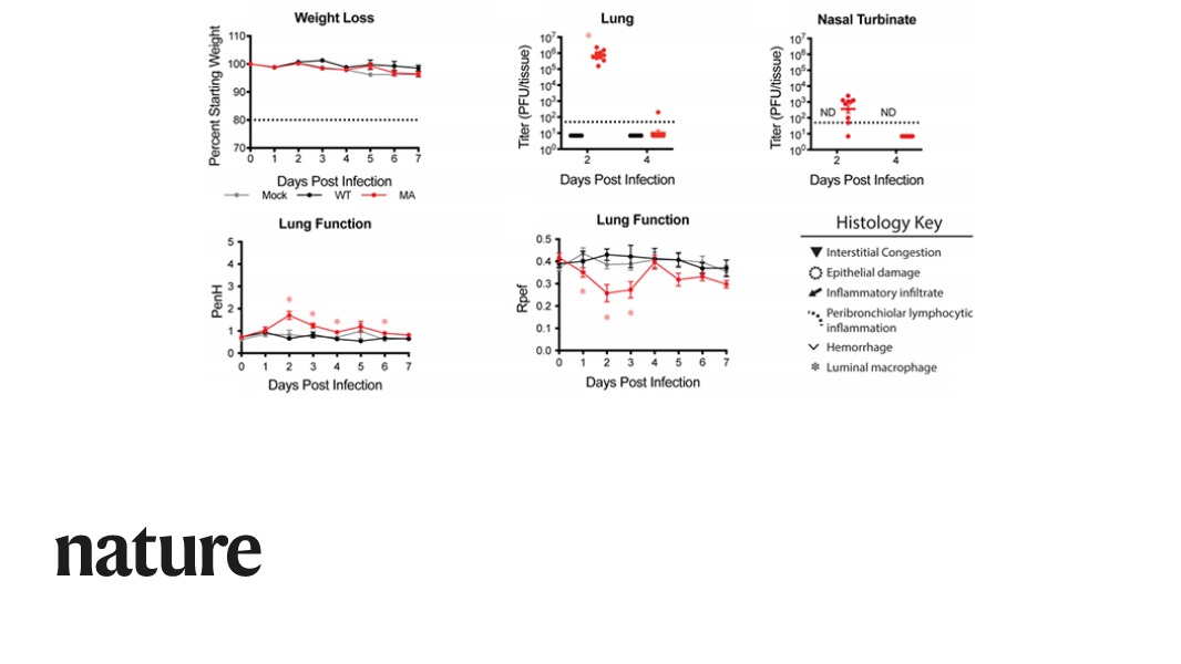 A paper in Nature reports a new mouse model for COVID-19, which can be used to test medical countermeasures. go.nature.com/3hLeQXM
