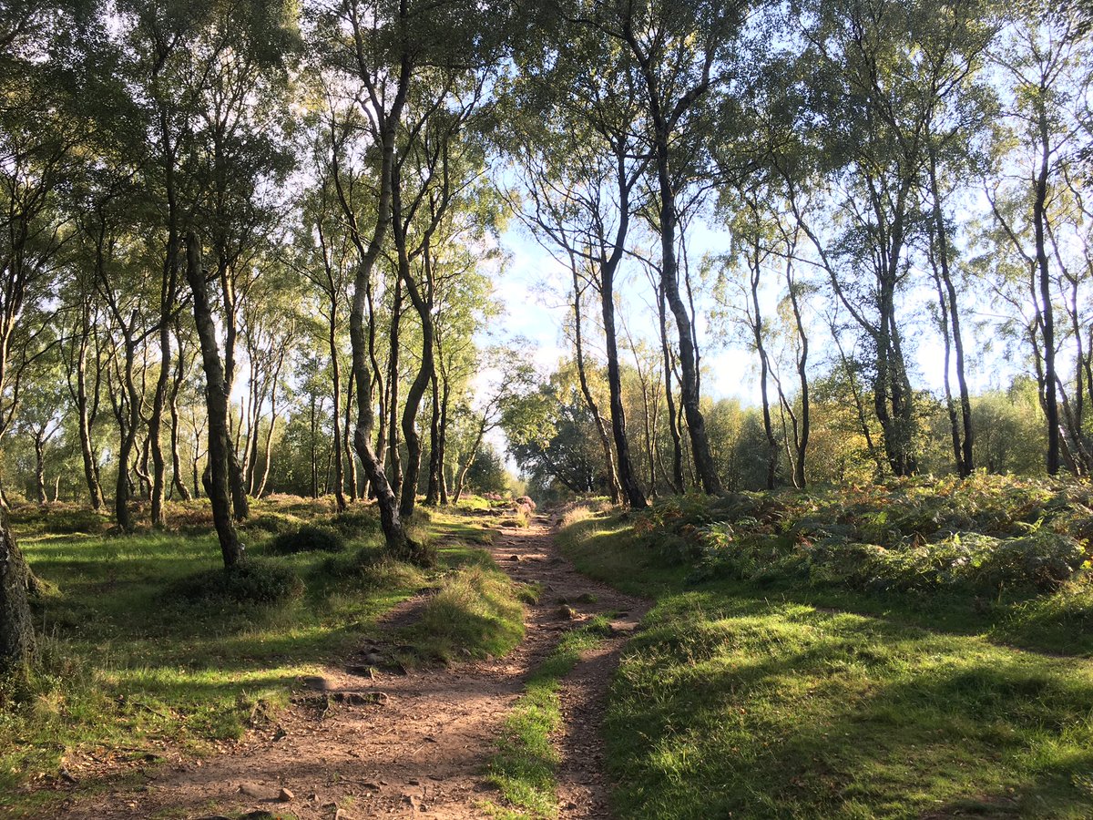 seaparkin's tweet photo. Short dash round Stanton moor catching some rays before school & footy runs. Heather beginning to fade. Nine Ladies? There were 10 ๐ #stonecircle #derbyshire #silverbirch #heather #stantonmoor #englishhertiage #september #sunshine #gooutside https://t.co/vxFGtCchUR