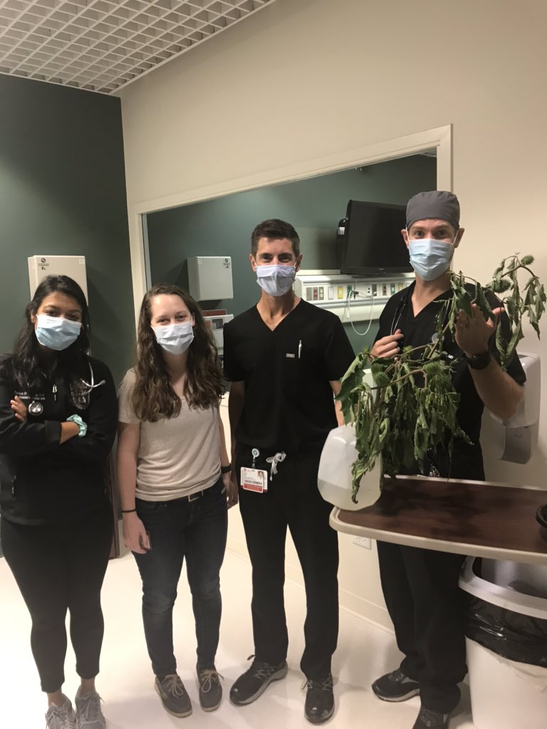 LoyolaEM tweet media