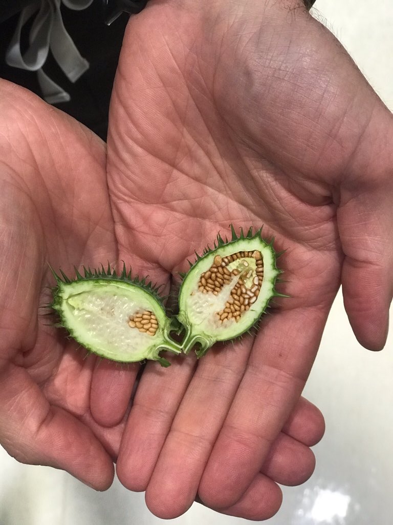 LoyolaEM tweet media