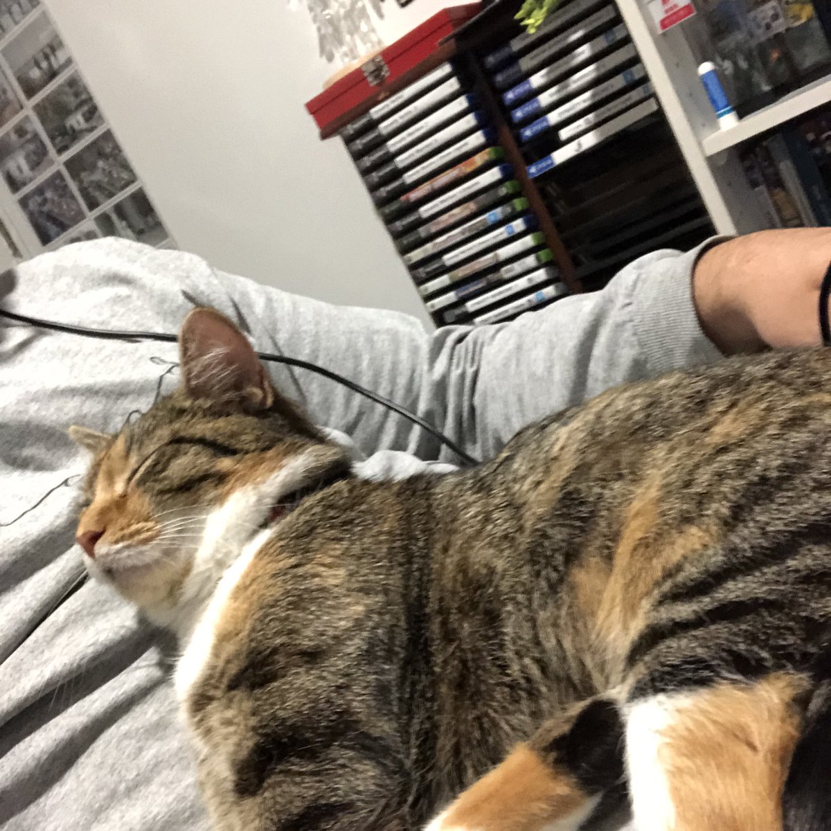 Dan Taipua tweet media