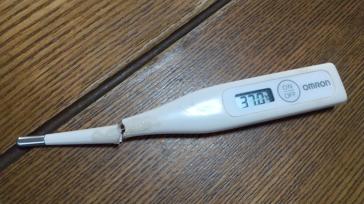 壊れた体温計 【公式通販】