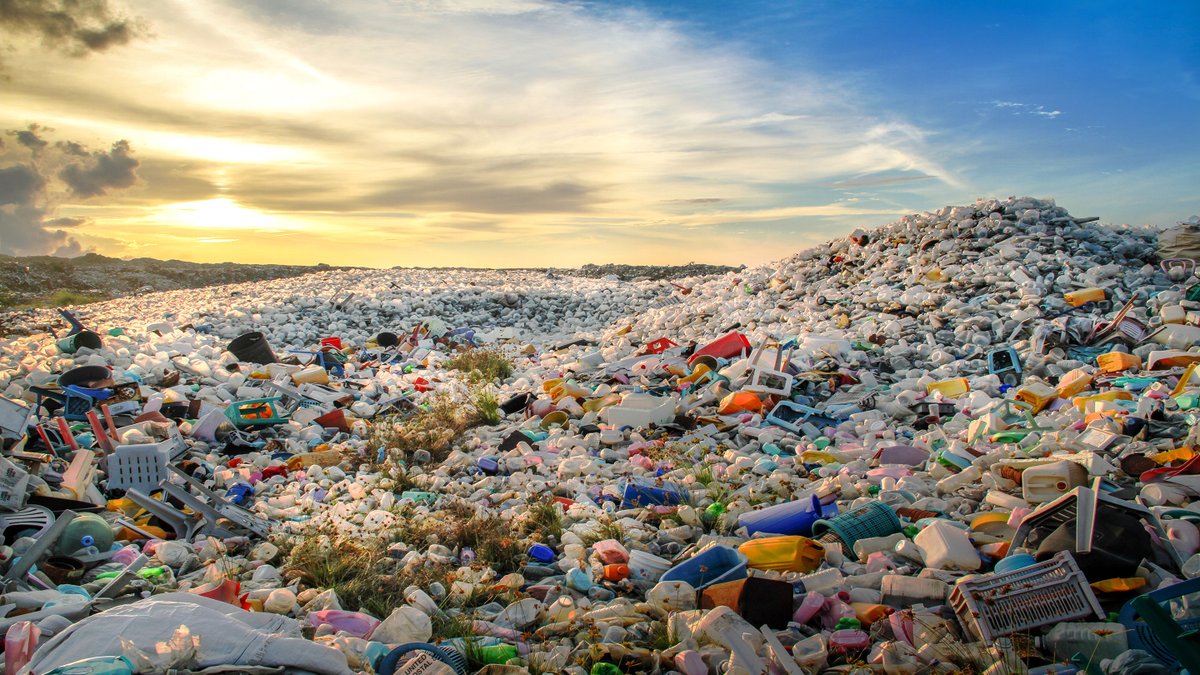 If you live in Norwich and are inspired by  @HughFW and  @itsanitarani  @BBCNews  #WarOnPlastic programme tonight, then great news! You've got lots of excellent  #ZeroWaste and  #PackagingFree  #ShopLocal shops to visit in  @NorwichBIDUK - Here's just a few of them: