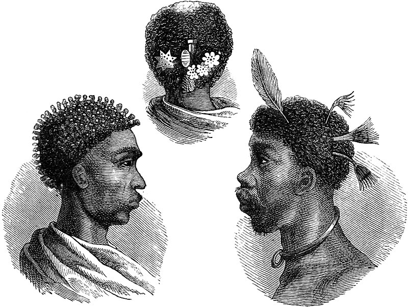 t1/ THE LOZI PEOPLEThe Lozi people, or Barotse, are found in Western Zambia.1881- Potraits of Barotse People