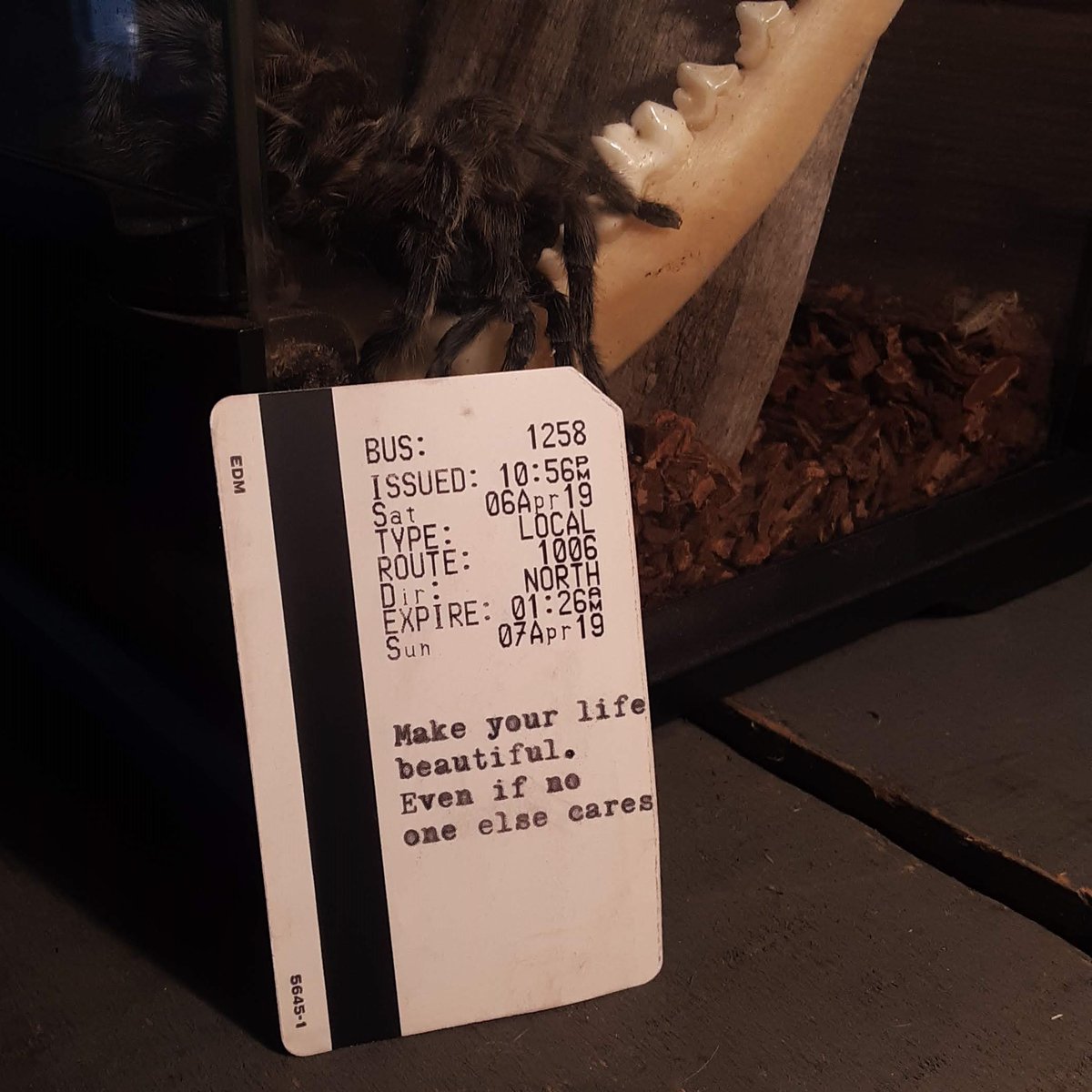 busfortunes's tweet photo. I'm running late with this today because I was busy with something of no fucking consequence at all.  I'm feeling frustrated &amp; overwhelmed, so this is for me too.  Fix that bike Mat. Go for a ride.  Hang up some art.  Make something.  Take a breath. 
#fortune #createbeauty https://t.co/elVhT4b2bZ