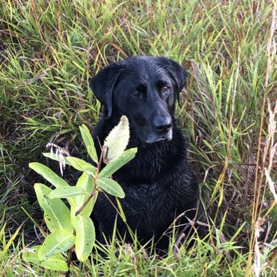 scottmeyer8's tweet image. #NewProfilePic