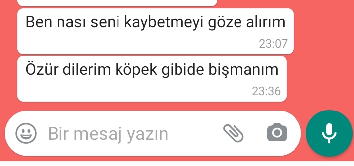 Bişman değilde pişman olsaydın affederdim ÖWSKLŞEXKDMD