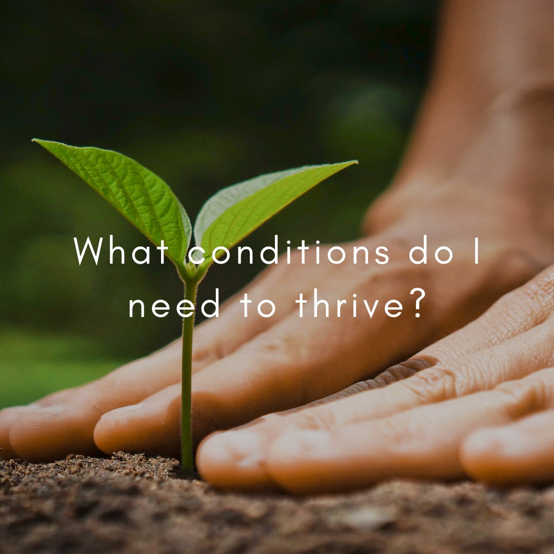 What do you need to bring your whole self to your #leadership in a way that fuels you with #energy and #purpose? plumgroup.ca #heartinsights