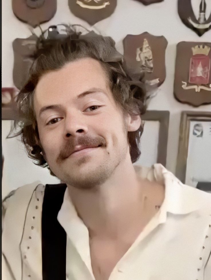 Things I'm grateful for: harry styles deciding to grow out a whole moustache