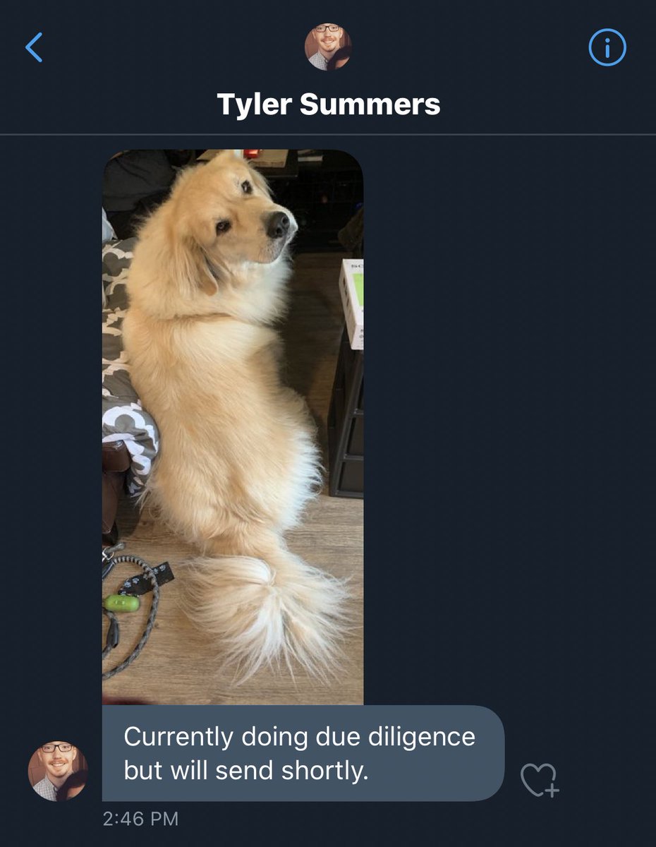 This pup from  @TylerSSummers knows something is sus