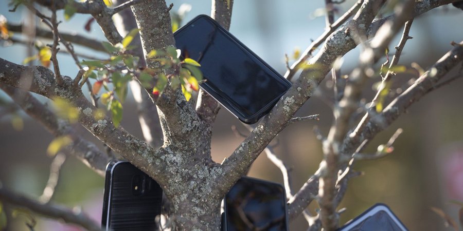 Amazonの下請け配送業者が 配送拠点の近くの木に携帯電話をぶら下げる 理由とは Gigazine