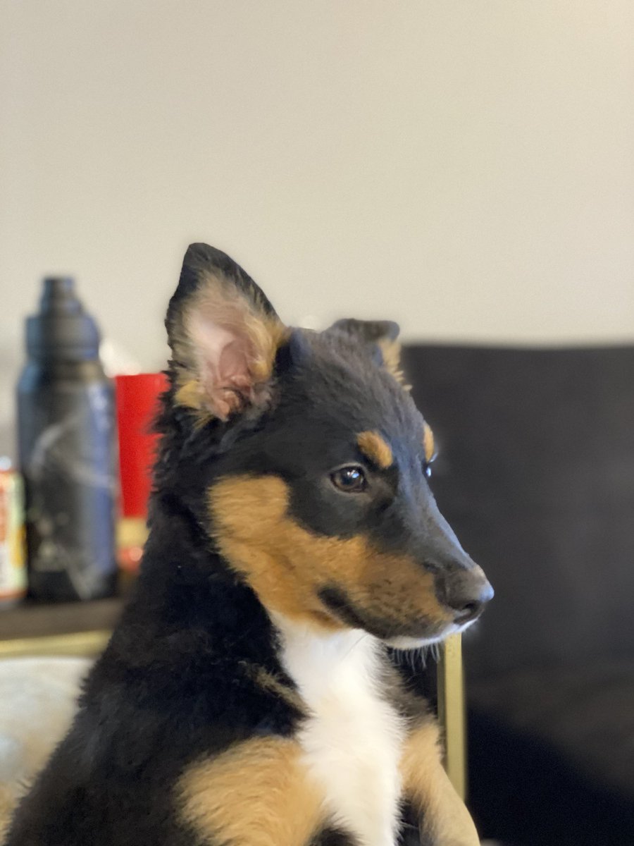 lil milly is getting big as shit