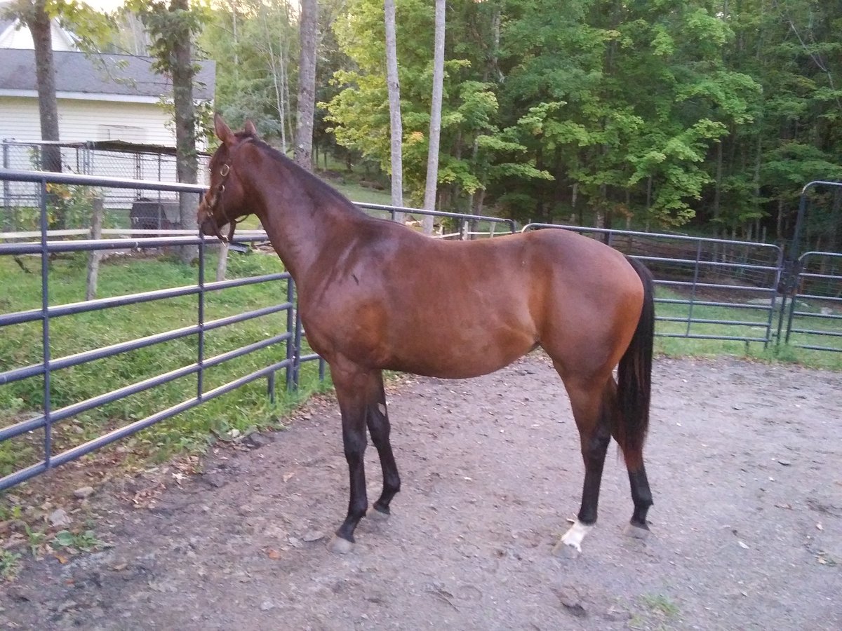 DonaldFallon's tweet image. Bay lives matter too!