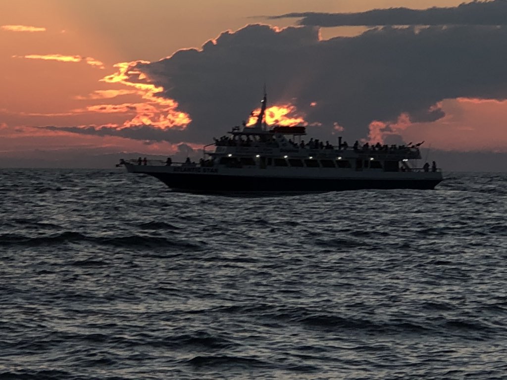 Miss Beverly ☀️🙏✨🐝 tweet media